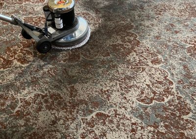 commercial carpet cleaning process in action